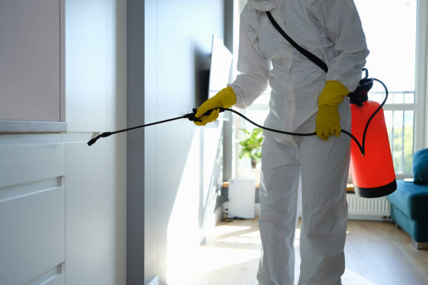 Best Mold Remediation for Schools in Springboro, OH